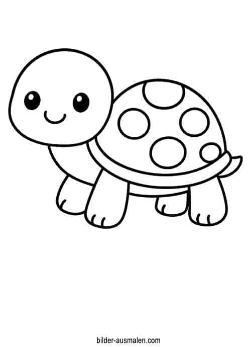 Schildkröte 1