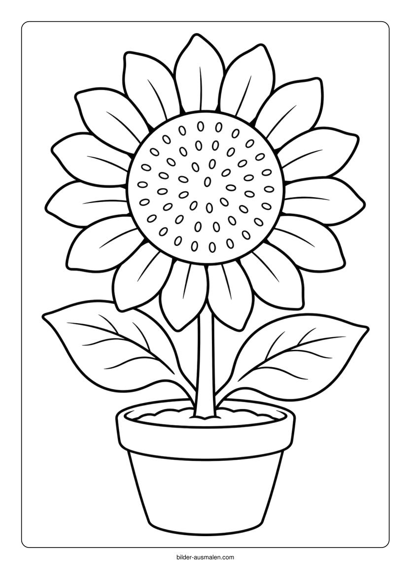 Blumen 1 – Sonnenblume im Topf