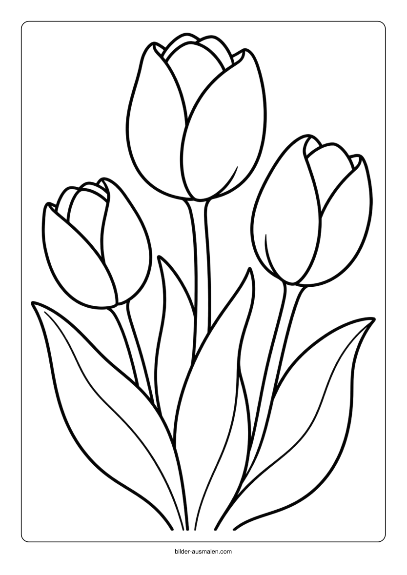 Blumen 2 – Drei Tulpen