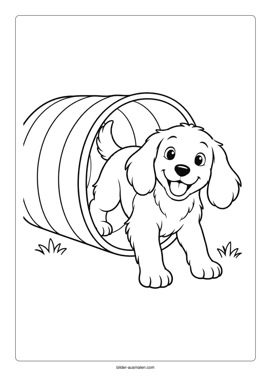 Hund am Agility-Tunnel