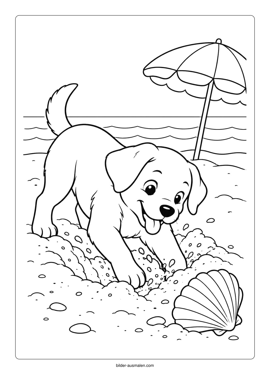 Hund buddelt am Strand