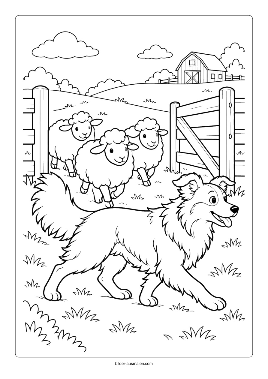 Hütehund mit Schafen