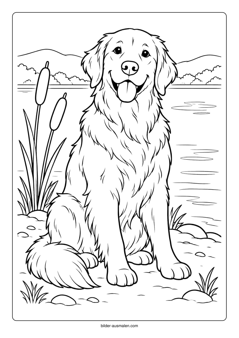 Retriever am See